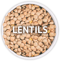 dry-lentils-bowl.png